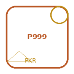P999 Game Guide: What Pakistani Players Should Know First