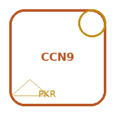 CCN9 Game Guide: What Pakistani Players Should Know First