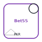 Bet55 APK Review: Setup, Mobile Use and Responsible Play Notes